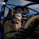 Illustration for article titled Forza Motorsport 7 Is Dazzling, Unpredictable And Will Make You Want To Drive All 700 Cars